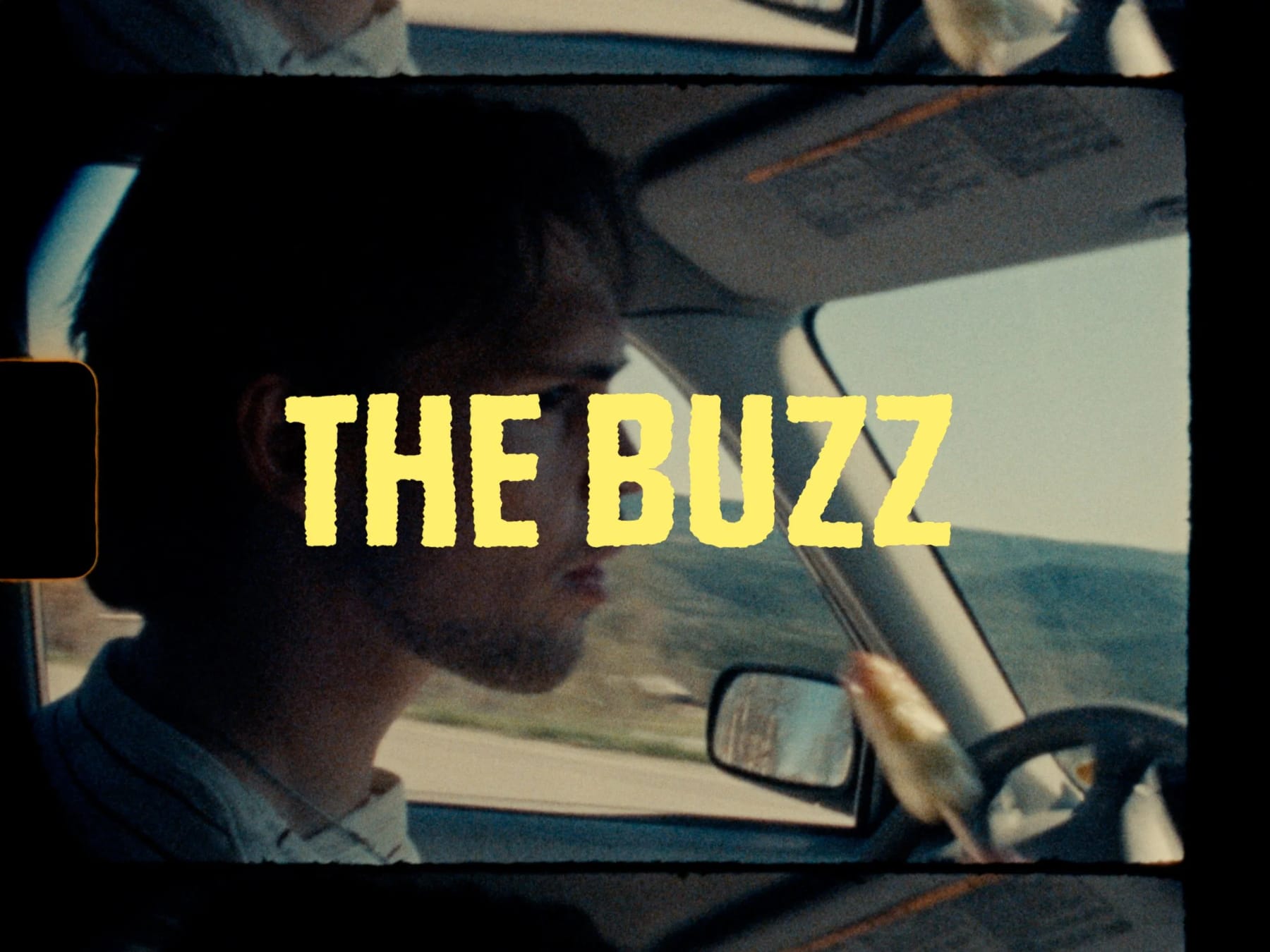 The Buzz